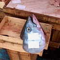 086 Catania de vismarkt